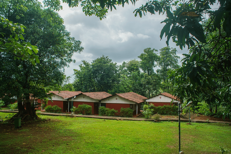 A row of small cottages sits in a grassy clearing, surrounded by lush trees under a cloudy sky.