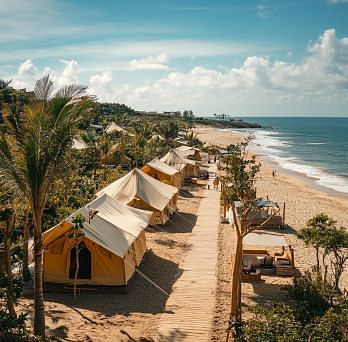 Aerial view of tents on the beach with a forest on one side and a sandy beach with palm trees on the other one