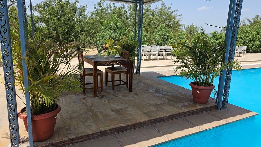 Lemongrass Poolside Restaurant 6