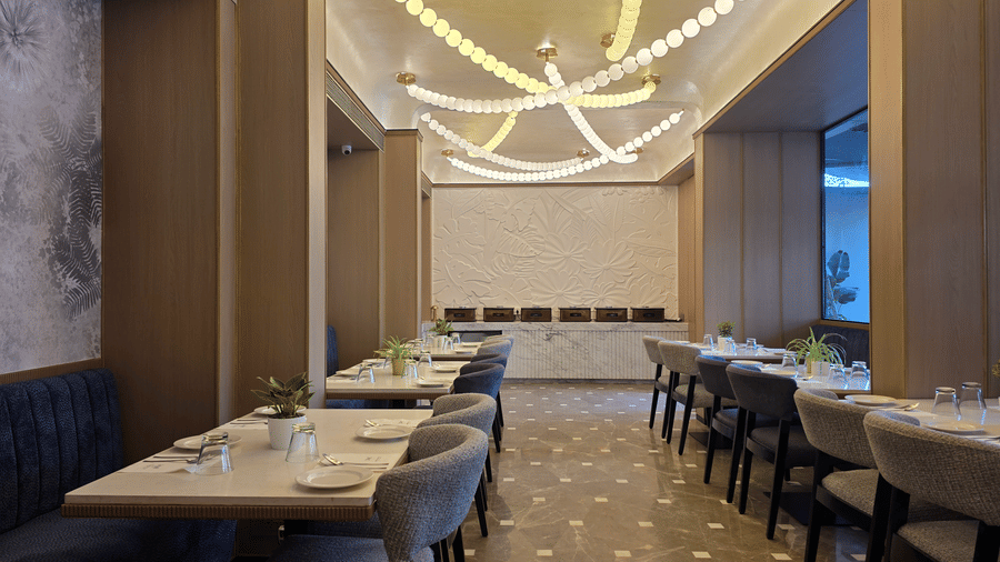 Yura by Dragonfly  Andheri