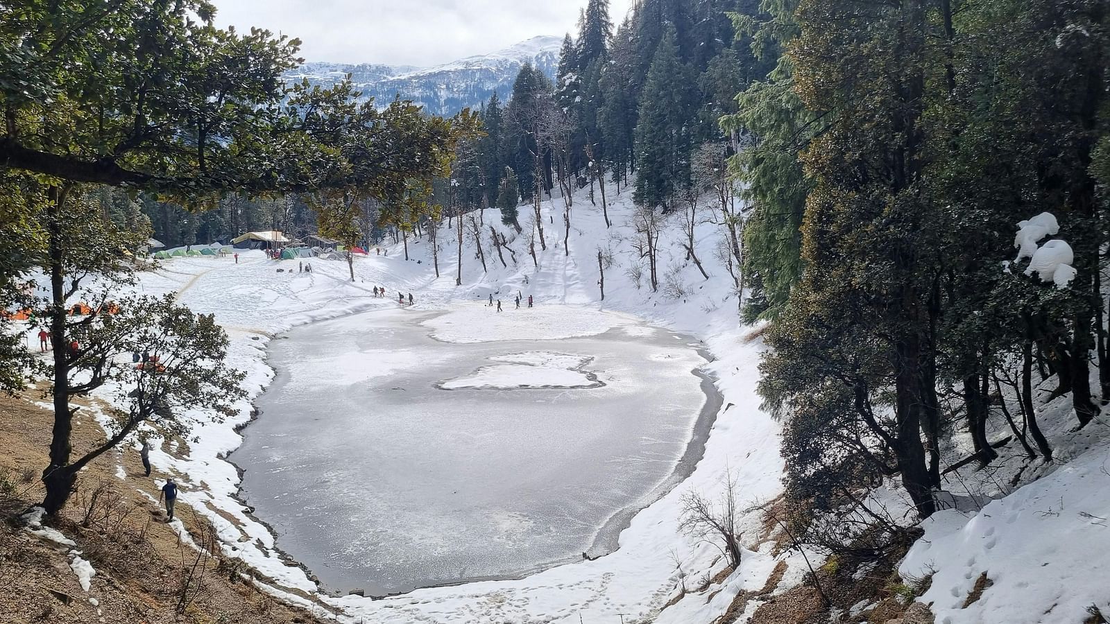 View of a frozen lake during a snowfall in a forest. 