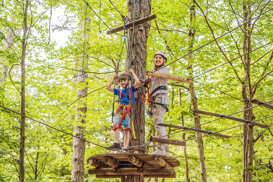 alt-text High rope 2