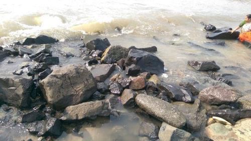 imag0783-burst003-largejpg