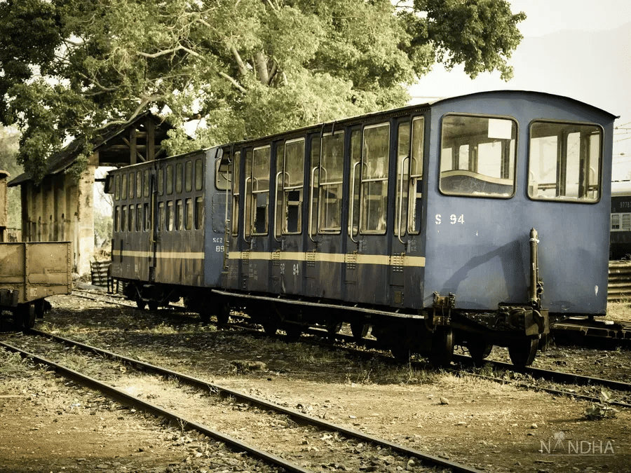 Old blue railway carriage standing on narrow-gauge tracks, framed by trees and soft natural light.