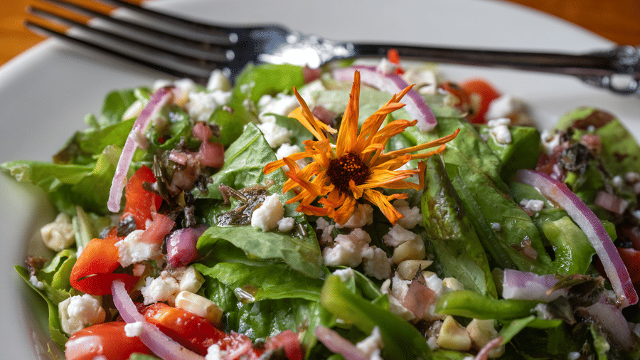 Fresh salad with greens, tomatoes, onions, seeds, and edible flowers served at Narrow Gauge Inn.