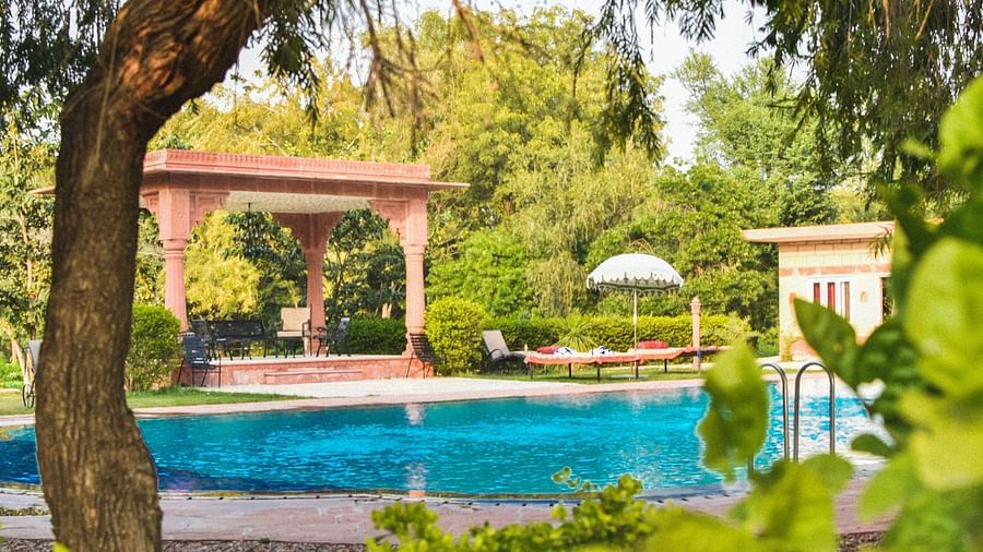 Pool Area 2