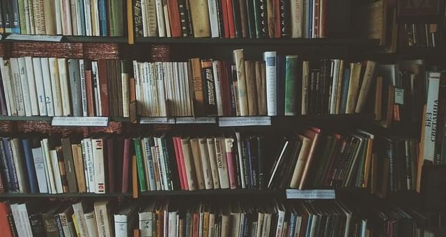 Books stacked on a library rack.