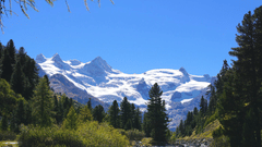 view of snow filled mountains across green pine trees and shallow river flowing