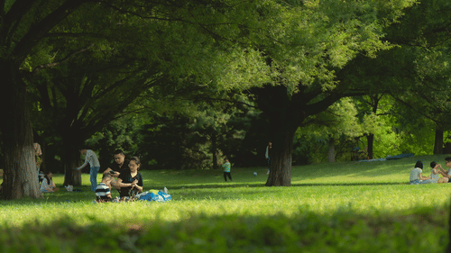 Family picnicking in a park surrounded by greenery
