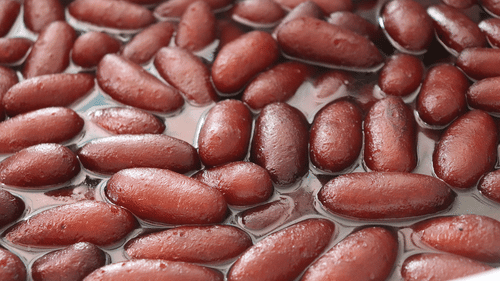 Gulab jamun dipped in sugar syrup