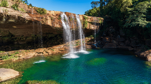 Waterfalls cascading into glistening blue waters with forest cover on the side