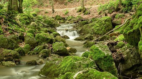 Picture featuring a waterfall through a forest.