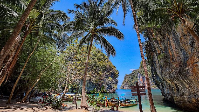A lagoon cove with palm trees surrounded