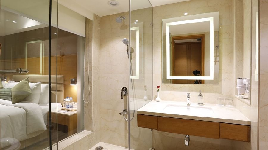 Suite in Jhansi, Executive Suite at Nataraj Sarovar Portico Jhansi, business hotel in Jhansi 8