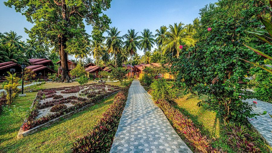 A paved pathway leading through a lush tropical resort with wooden cabins and tall palm trees on a sunny day.