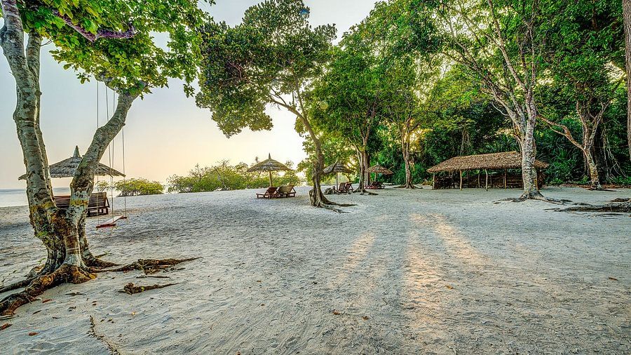 Tropical beach with a swing hanging from a tree, sun loungers under thatched umbrellas, and dense trees in the background during sunset. 
