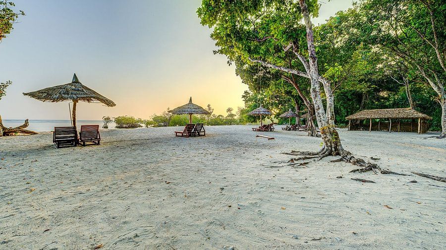  Panoramic view of a tranquil beach scene with wooden sun loungers under thatched umbrellas and trees at twilight.
