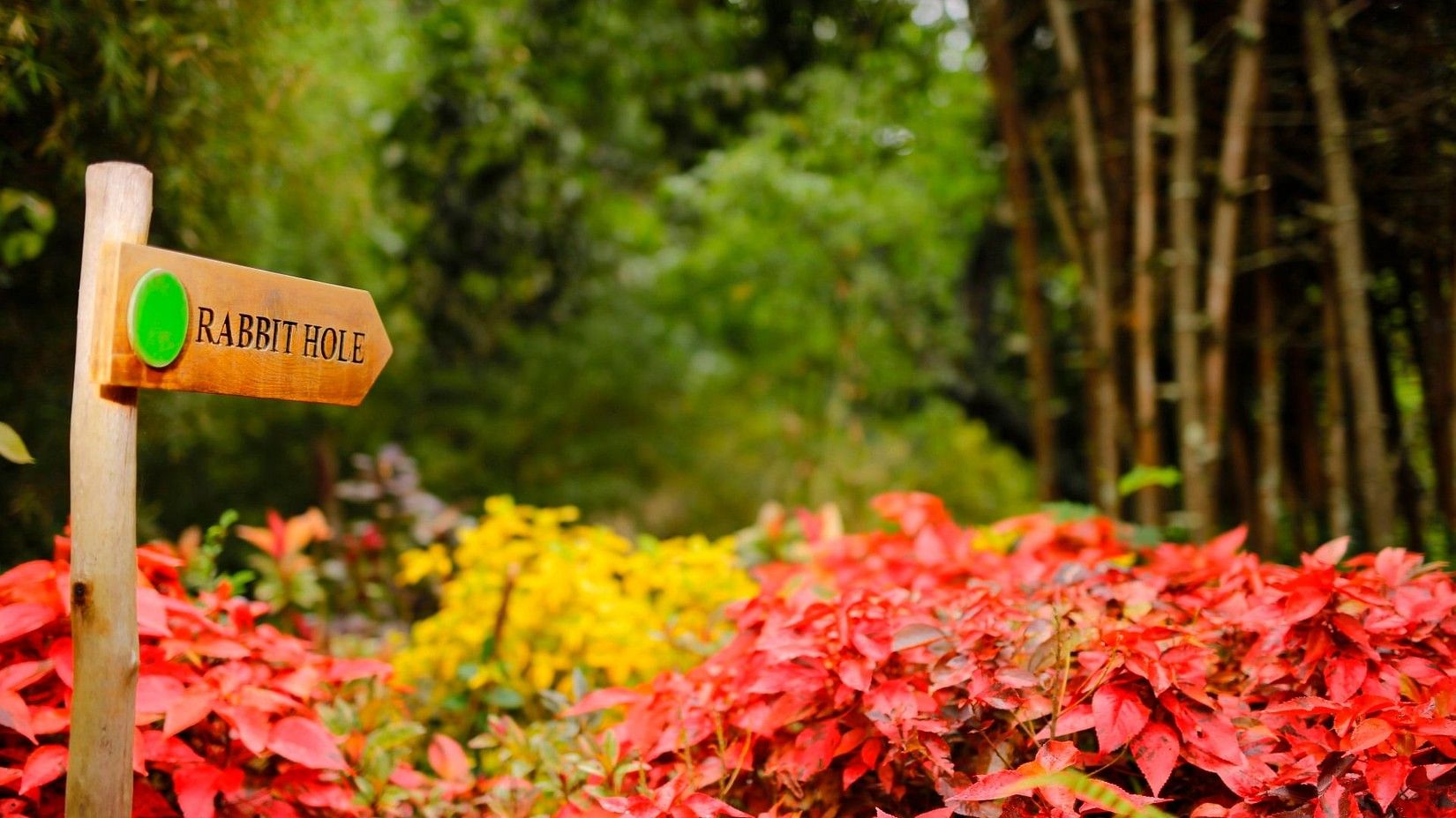 Garden, Amanvana Resort And Spa, Coorg Resort