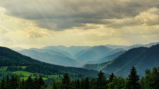  a panoramic view of lush hills