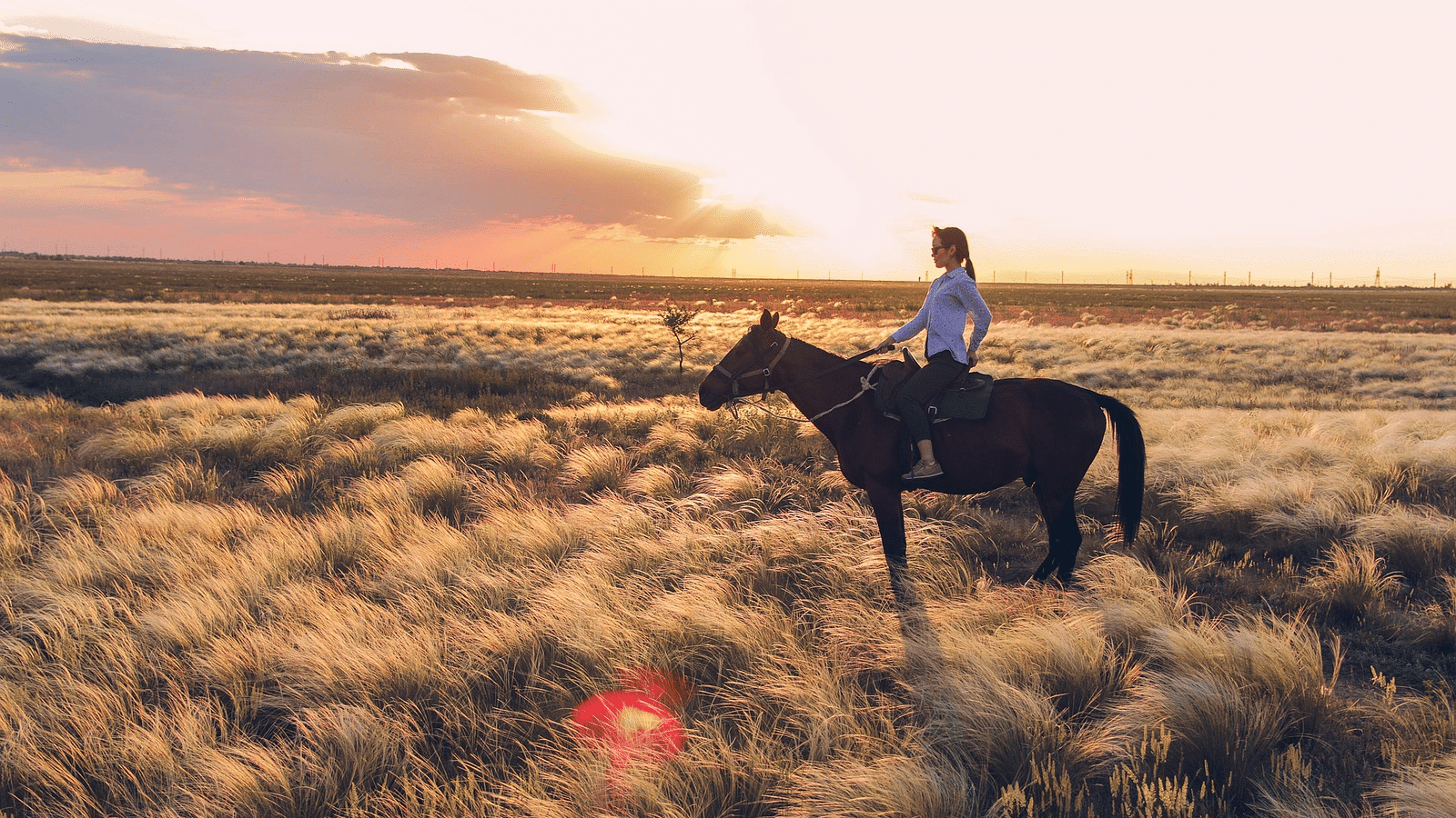 horseback-riding-3530916 1920