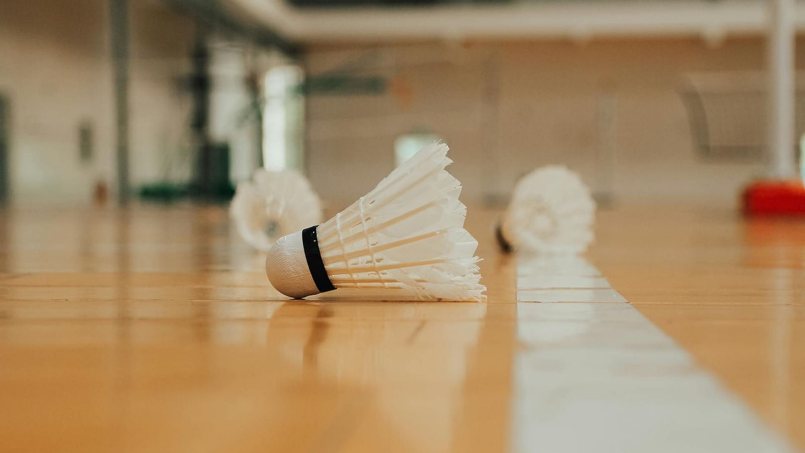 pexels-leozhao-5767580