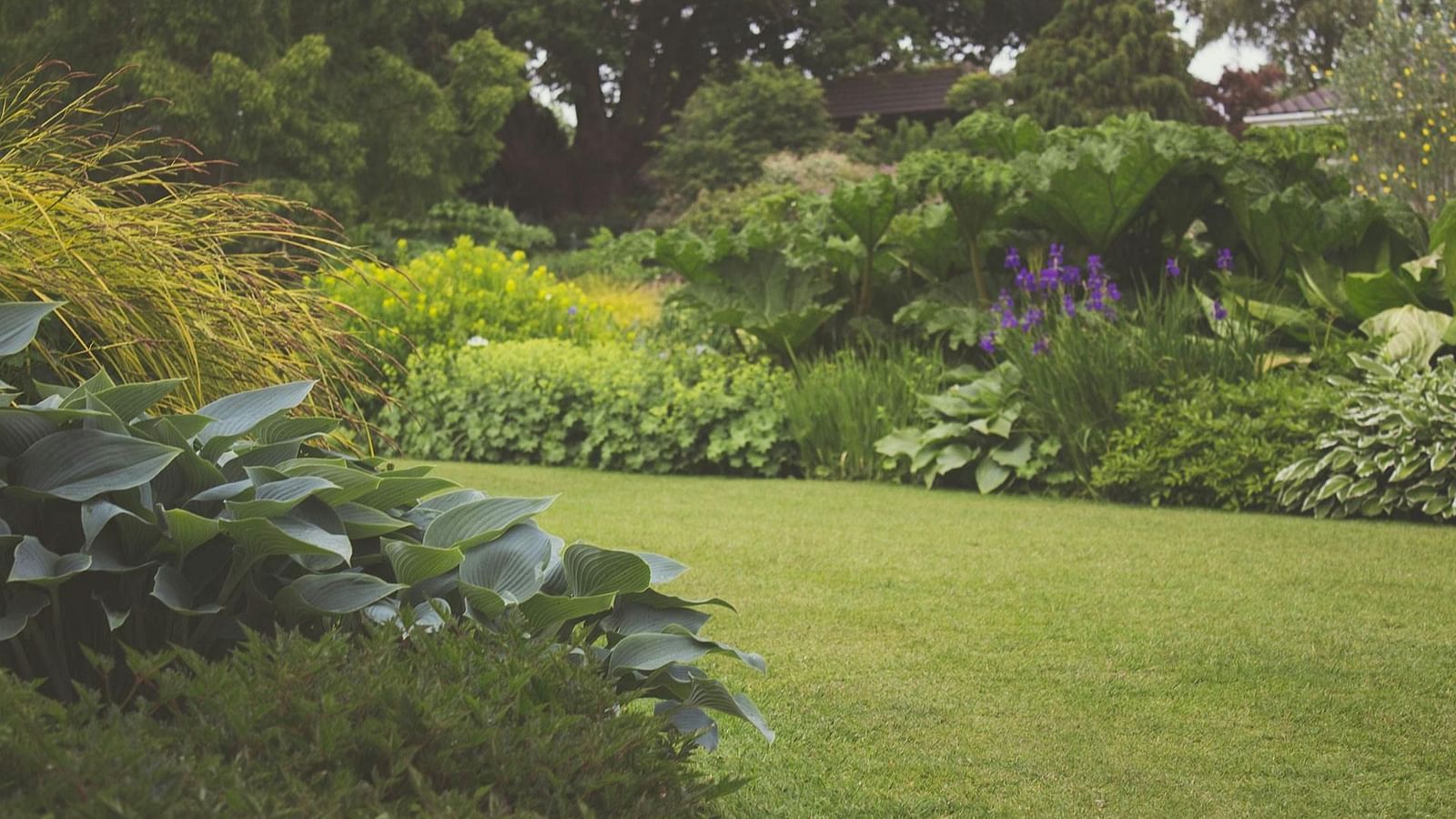 An image of a park with trees and bushes with short grass