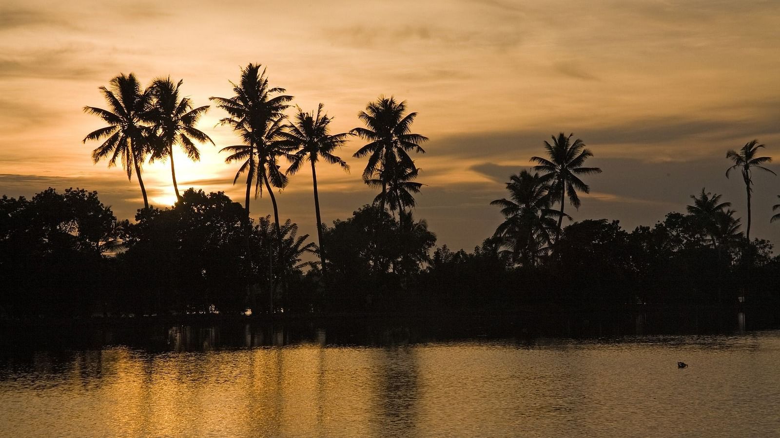 an overview of a waterbody with coconut trees and the sun in the background
