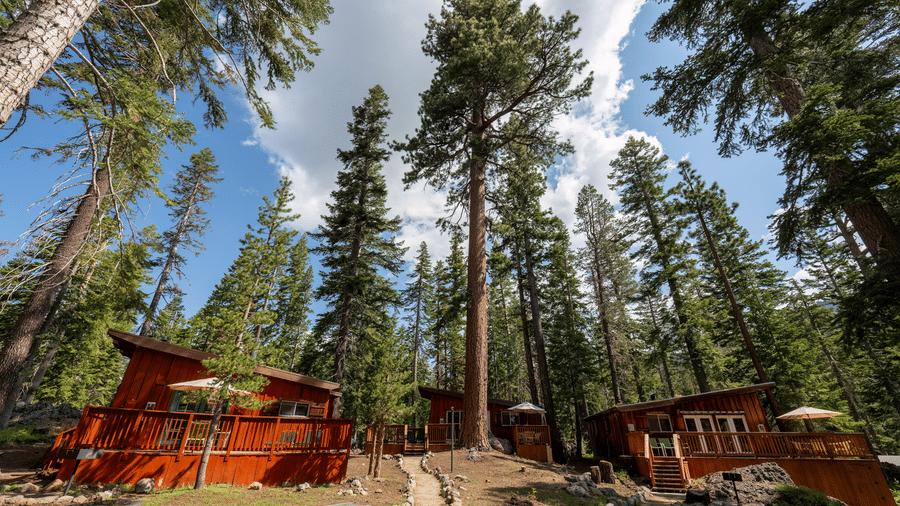 Wooden cabins under tall pine trees and a partly cloudy sky at a historic hotel in Silver Lake | Kit Carson Lodge