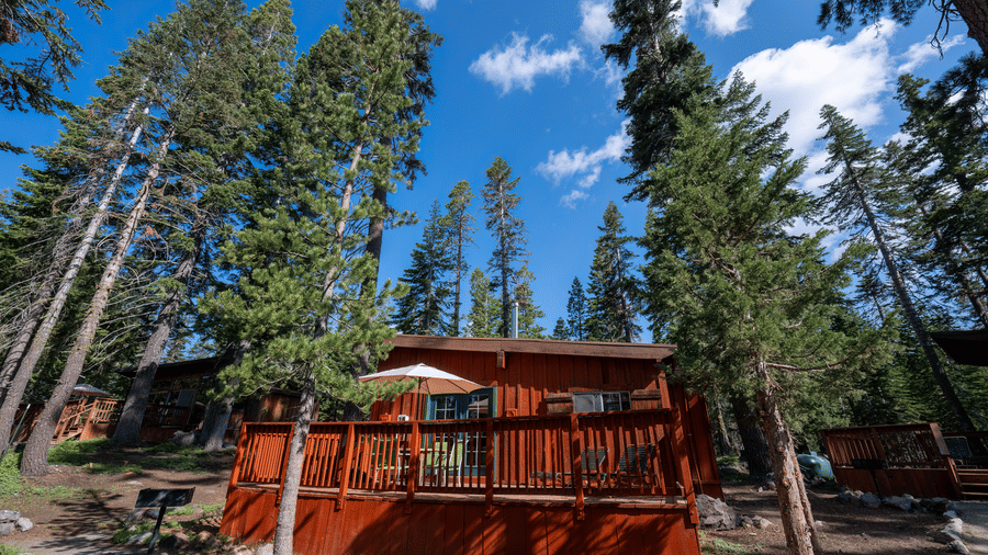 Scenic forest cabin exterior with red wood siding surrounded by trees at Kit Carson Lodge