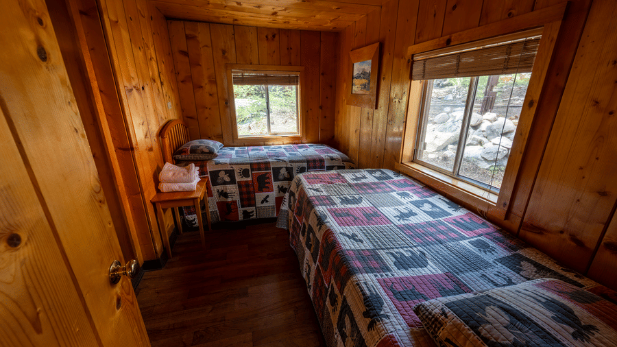 A bedroom at Kit Carson Lodge with a single bed, wooden walls, side table, and windows providing natural light and forest views