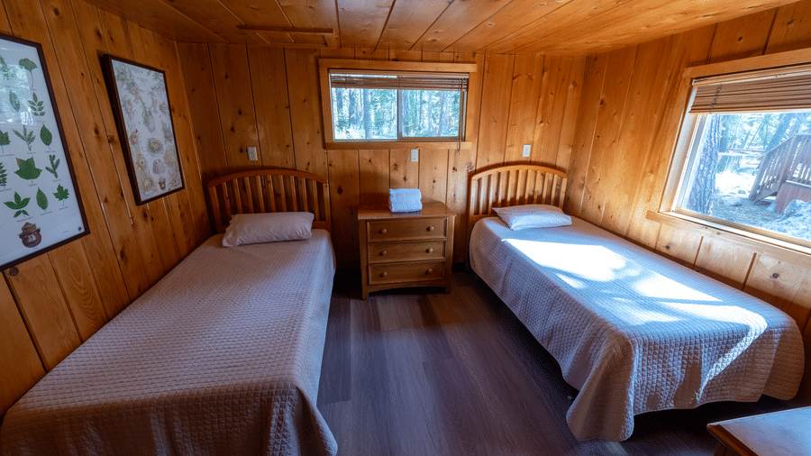 A twin bedroom at Kit Carson Lodge featuring 2 single beds, framed pictures on the wooden walls, and multiple windows offering views of the surrounding trees