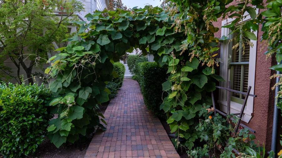 A view of Tallman Hotel representing an archway over a path with a house window visible on the right.