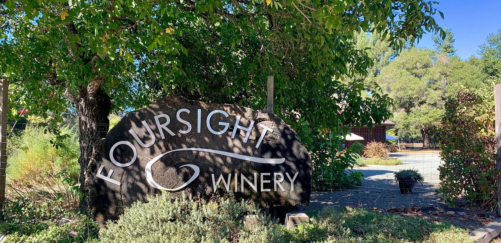 A large rock with the words FOURSIGHT WINERY carved into it stands in a landscaped area with trees and plants.