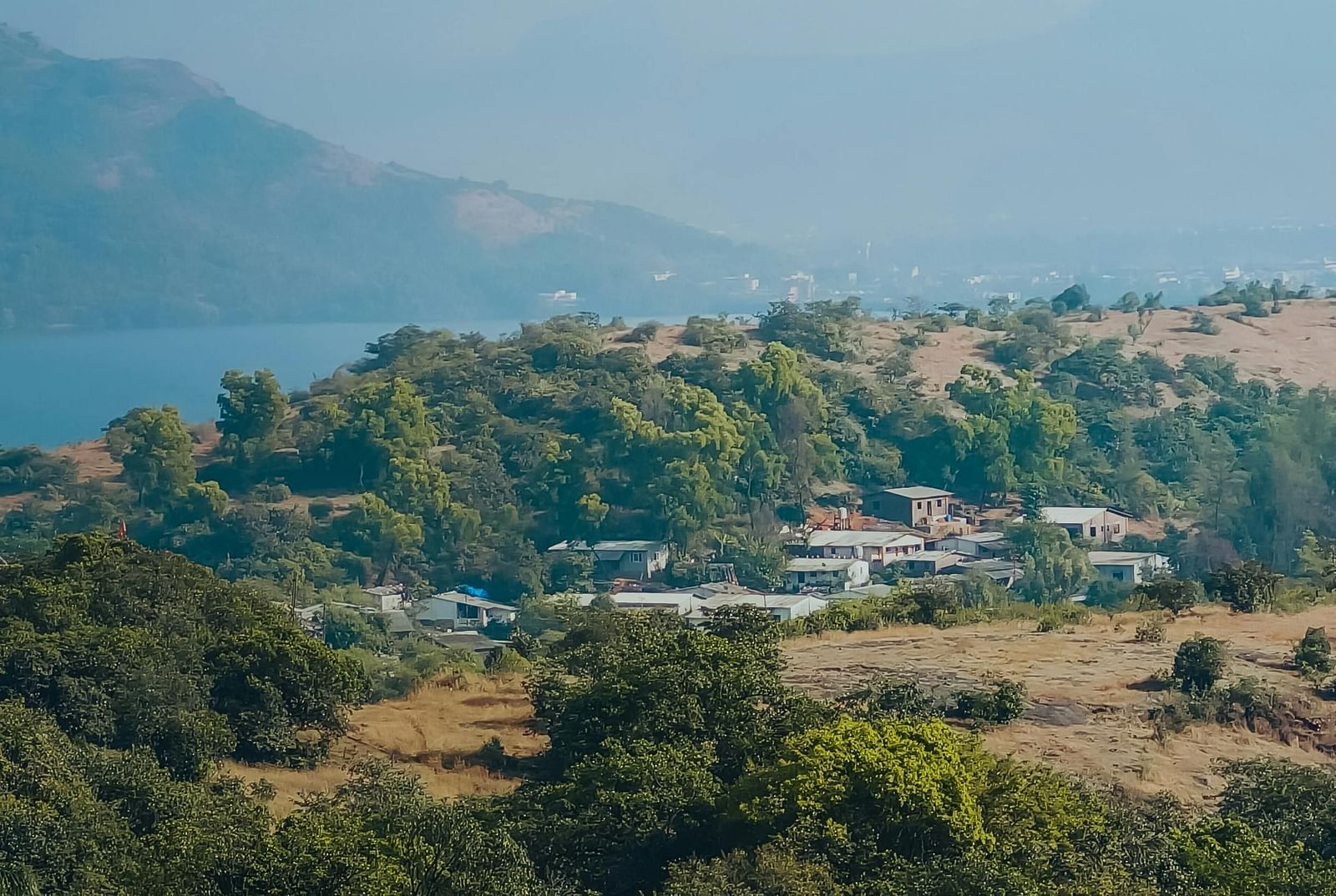 A hillside covered in trees and foliage with a building nestled among them under a hazy sky.