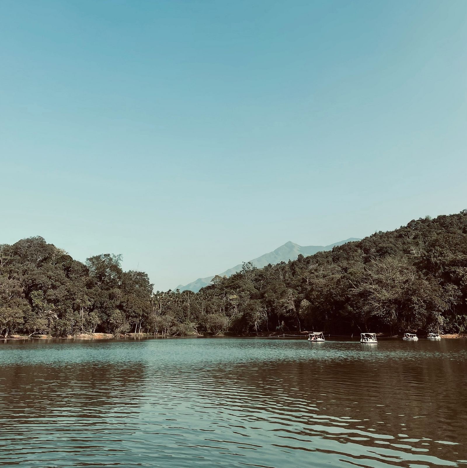 A lake with a backdrop of dense forest and mountains under a clear blue sky. Small boats are visible on the calm water.