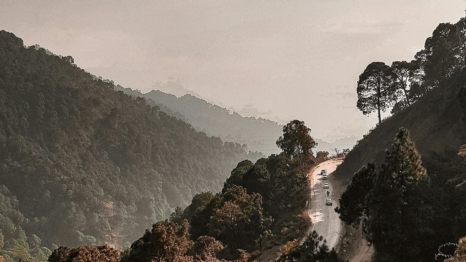 a narrow road going through the hills of Kasauli