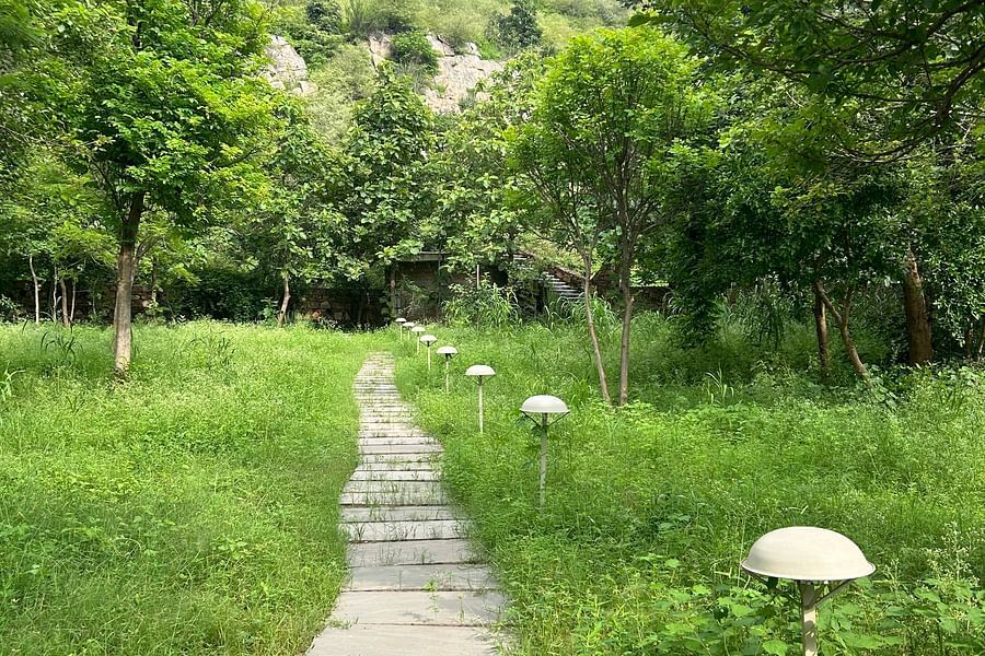 Surya Bagh - Landscape -15