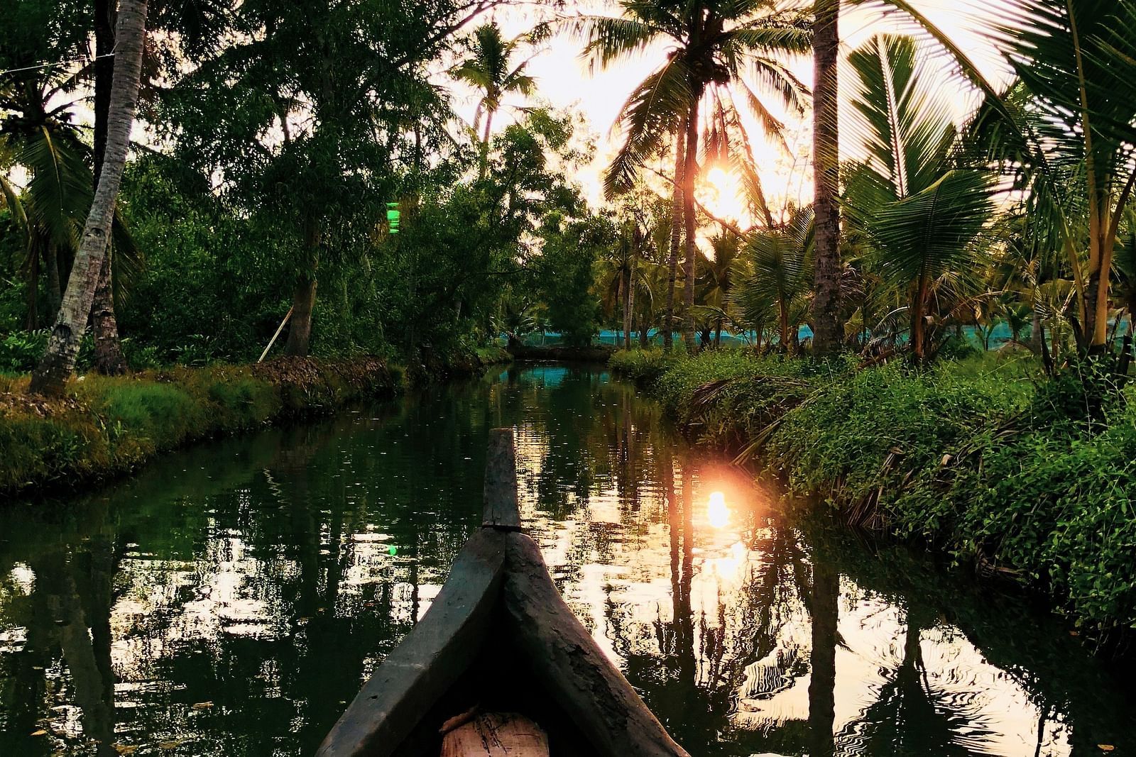 an image of the bow of a moving boat facing the river and coconut trees - Kumarakom Tourism
