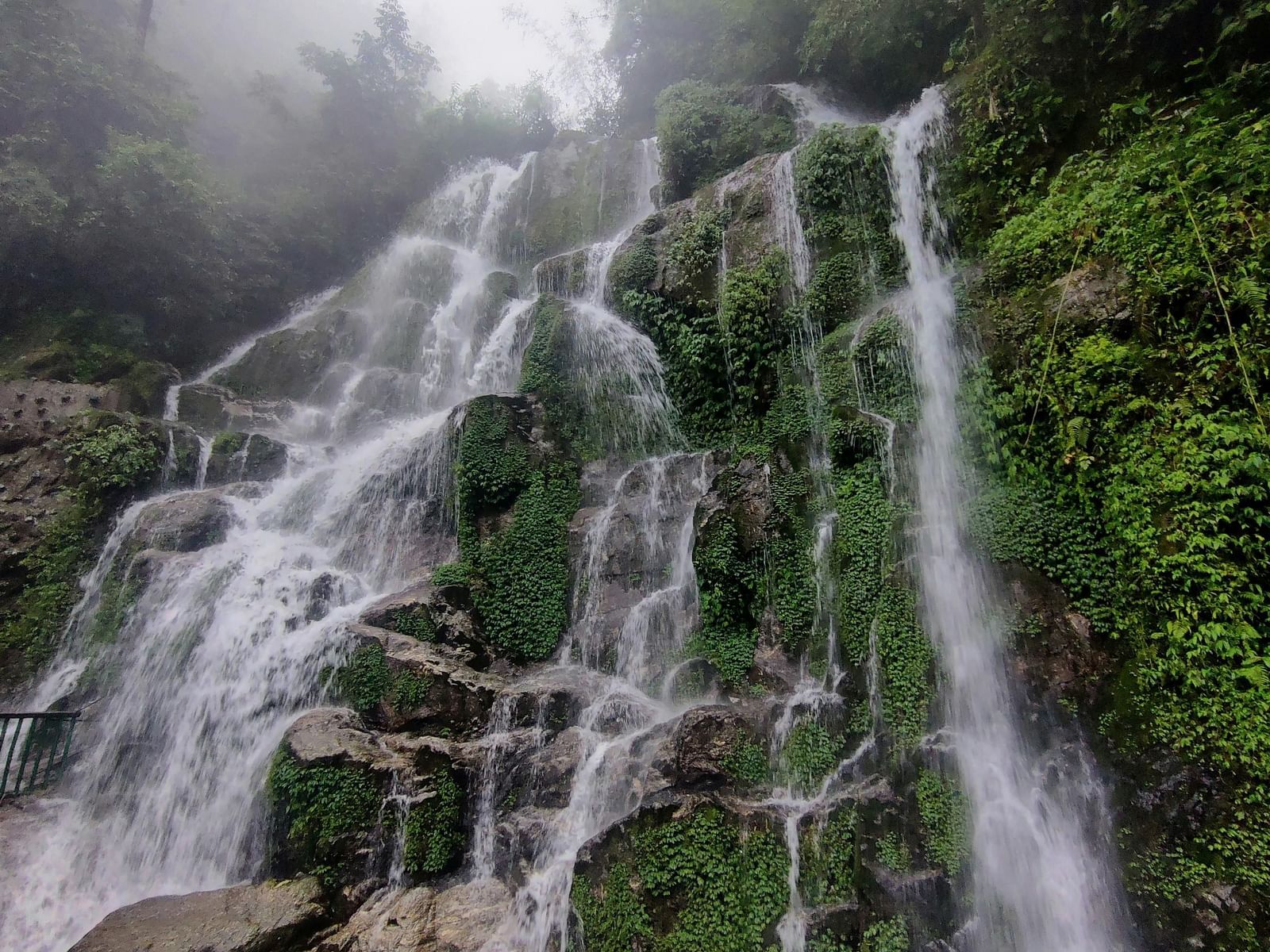 A cascading waterfall surrounded by vibrant green foliage