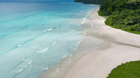 Aerial view of Havelock Island coastline with a sandy beach, gently curving shoreline, ocean waves and dense tropical forest.