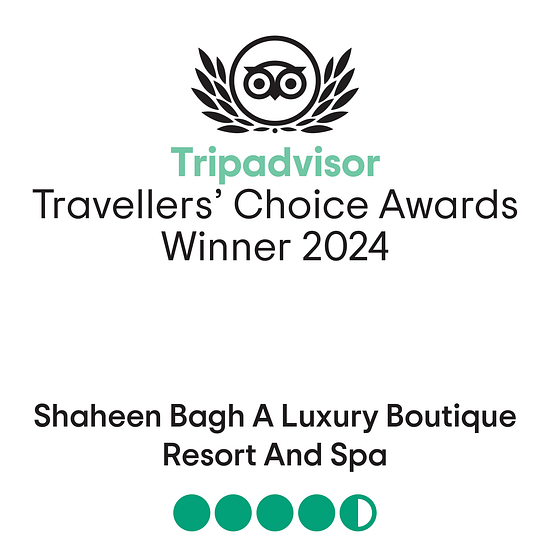 Tripadvisor poster with text Travellers choice awards winner - 2024