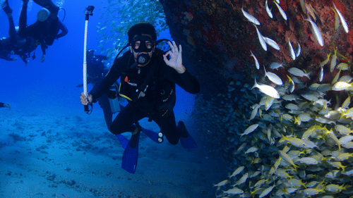 A man scuba diving and surrounded by colourful fish underwater