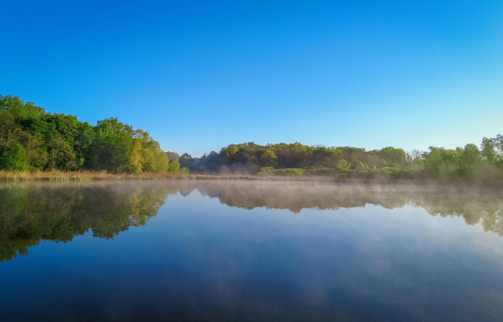 Scenic view of the lake surrounded by greenery during a bright sunny day.