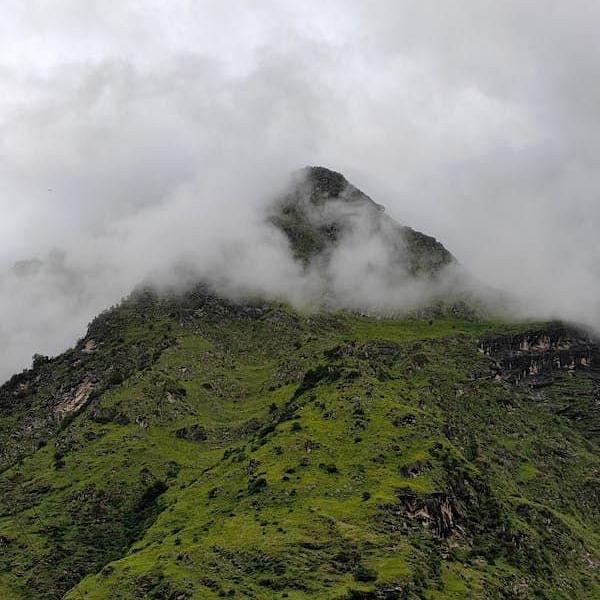 Misty mountain peak covered in lush greenery in the Western Ghats during monsoon season.