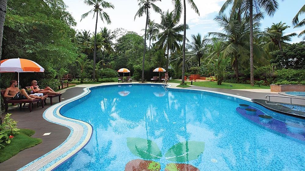 Pool area surrounded by coconut trees