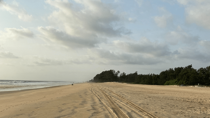 view of a beach