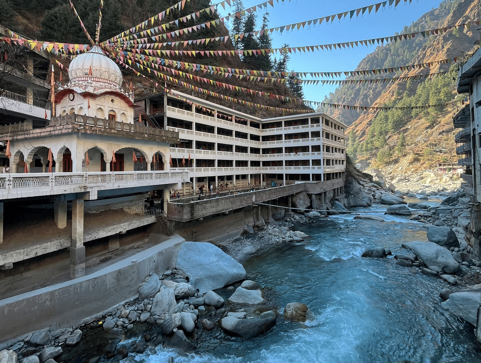 pexels-aryasuraj-36460786