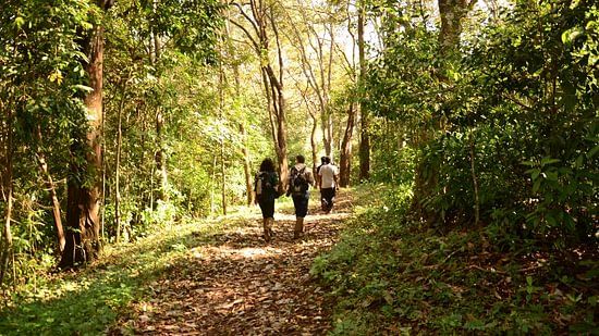 Recreation at the golden tusk Jim Corbett, Activities in Jim Corbett 7
