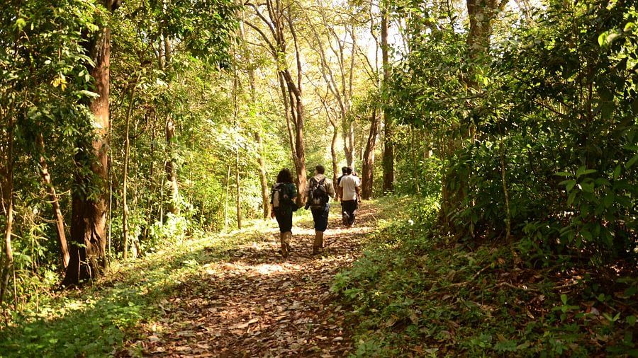 Recreation at the golden tusk Jim Corbett, Activities in Jim Corbett 7