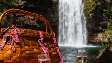 Wicker picnic basket with red ribbons on a tartan blanket, two white wine glasses and a cheese board set in front of a tall waterfall.
